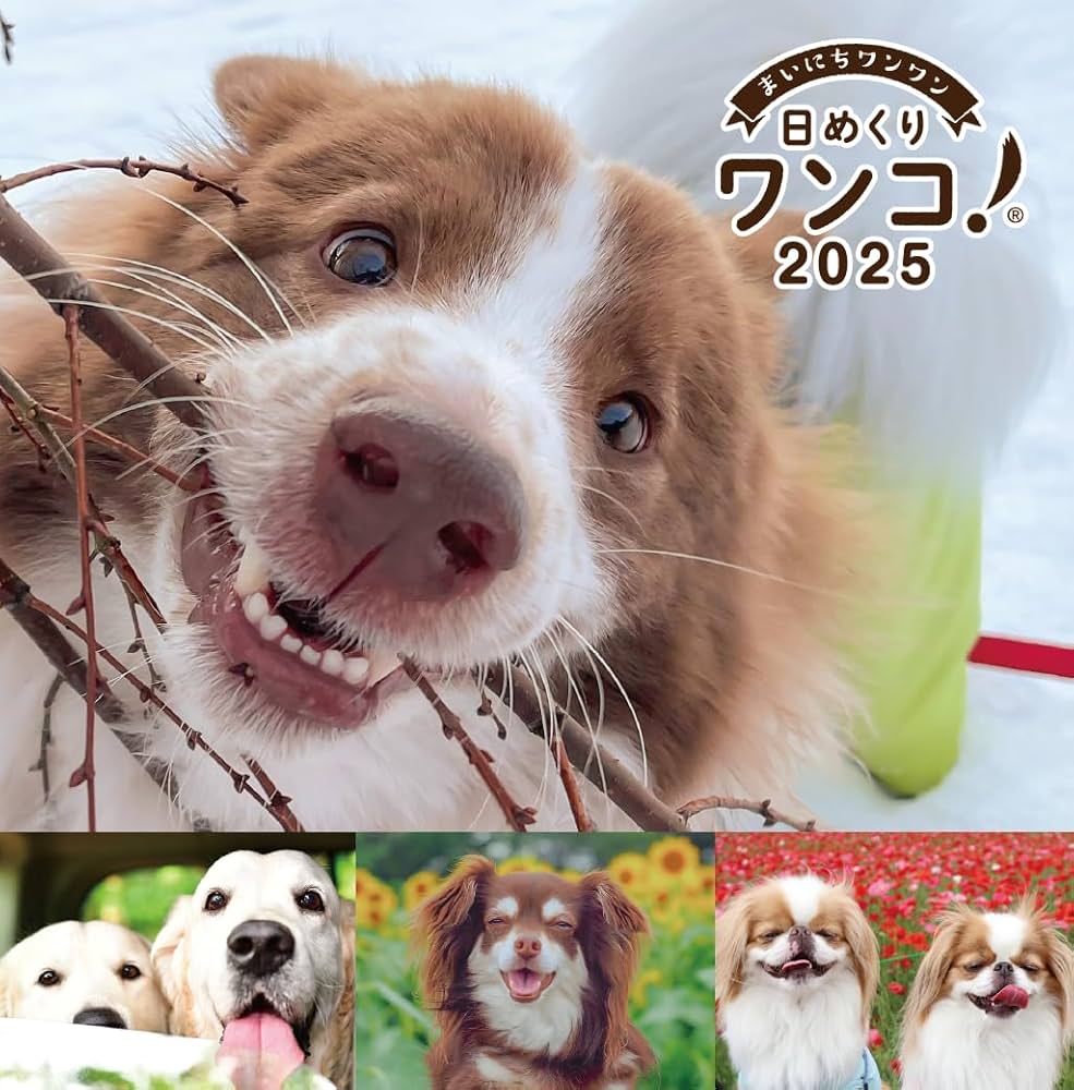 Amazon | 日めくりワンコ！2025年(卓上日めくりカレンダー犬版